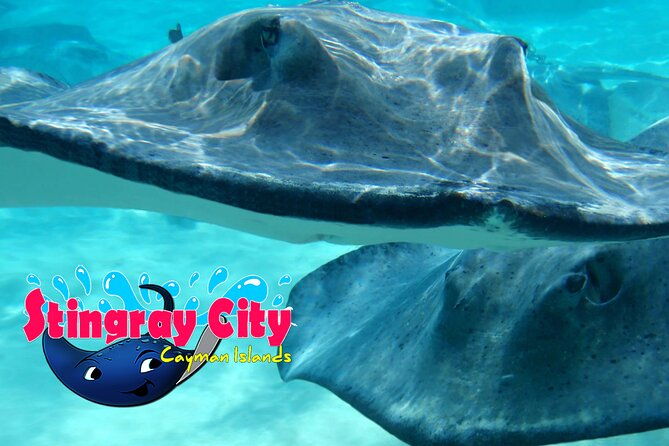 starfish-and-stingray-city-fun-tour-with-reef-snorkeling-3-stops