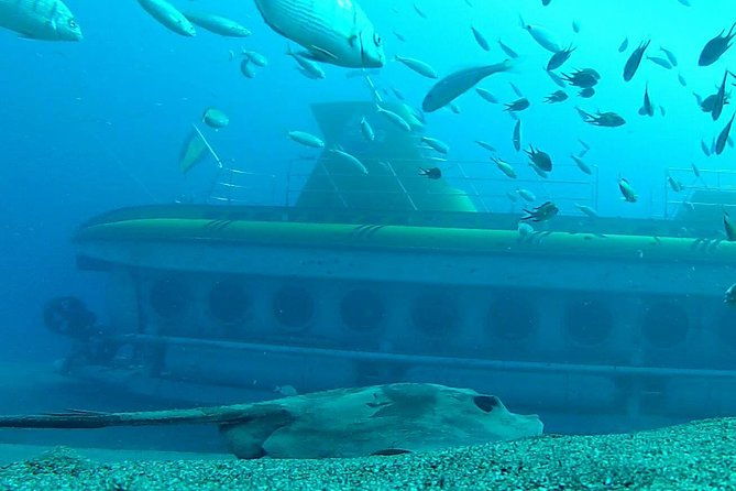 submarine-safaris-lanzarote