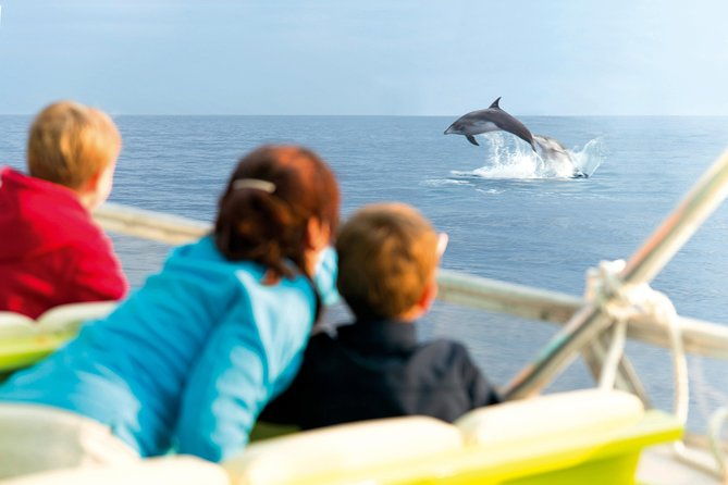 sunrise-boat-trip-in-mallorca-with-dolphin-watching