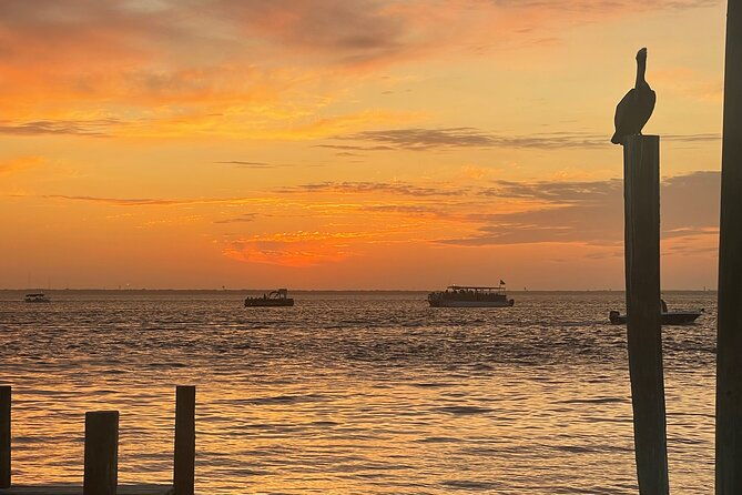 sunset-dolphin-excursion