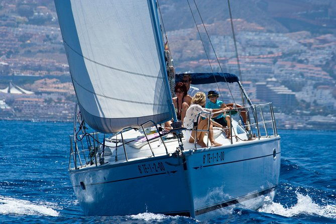 tenerife-3-hour-discover-whales-and-dolphins