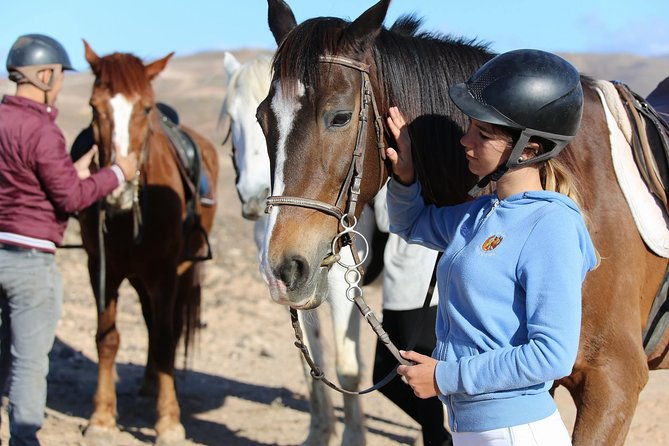 the-best-horse-riding-experience-in-gran-canaria-2-hours