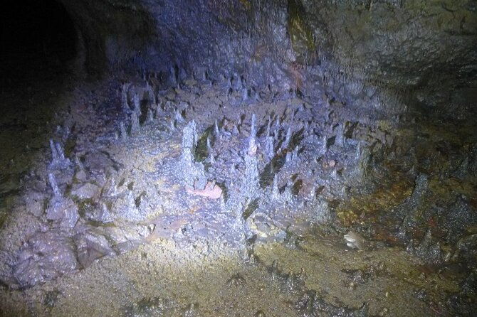 the-cave-explorer