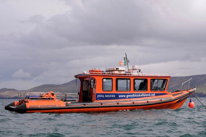 the-great-blasket-island-experience-premium-tour