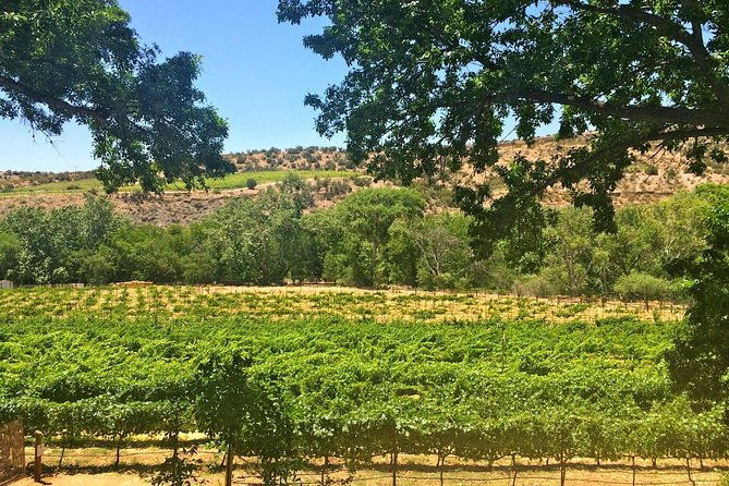 the-original-4-winery-tour-with-charcuterie