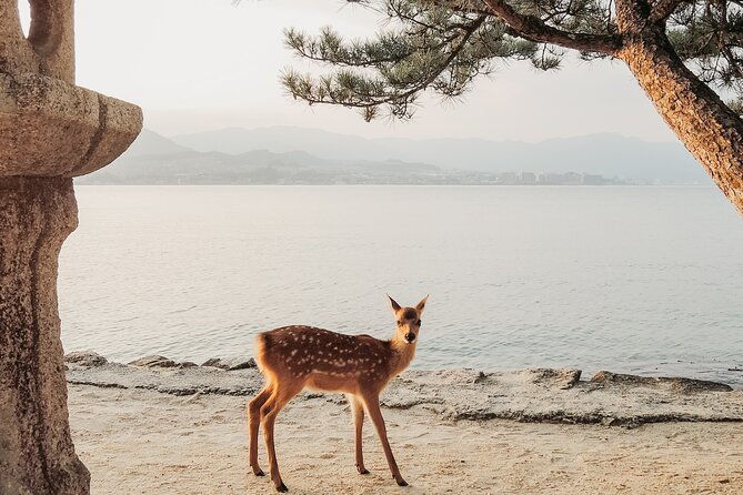 the-peace-memorial-to-miyajima-icons-of-peace-and-beauty