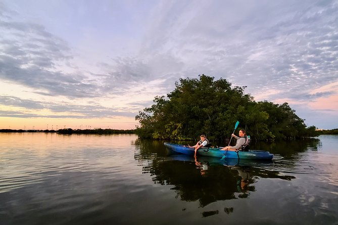 thousand-islands-mangrove-tunnel-sunset-kayak-tour-with-cocoa-kayaking