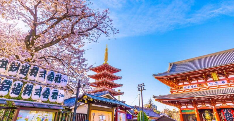 tokyo-asakusa-sensoji-temple-walking-tour-with-a-local