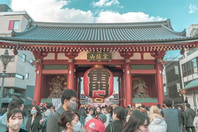 tokyo-cherry-blossom-private-one-day-tour