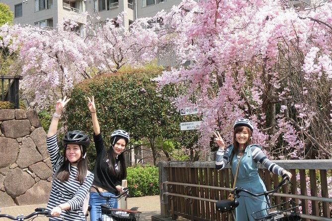 tokyo-cherry-blossoms-blooming-spots-e-bike-tour-3hrs