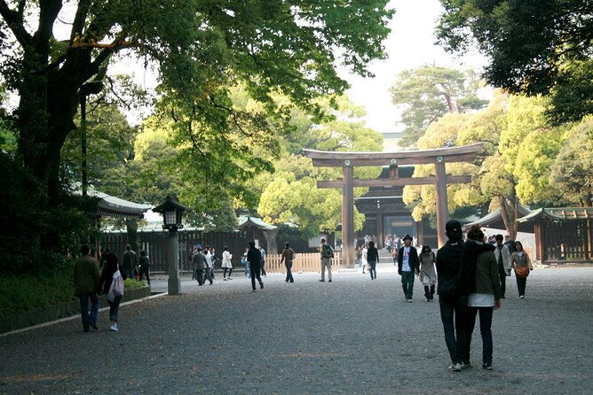 tokyo-full-day-trip-with-private-guide-and-luxury-car