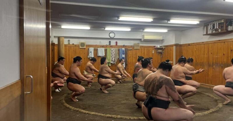 tokyo-highlights-tour-sumo-sushi-tea-and-tokyo-tower
