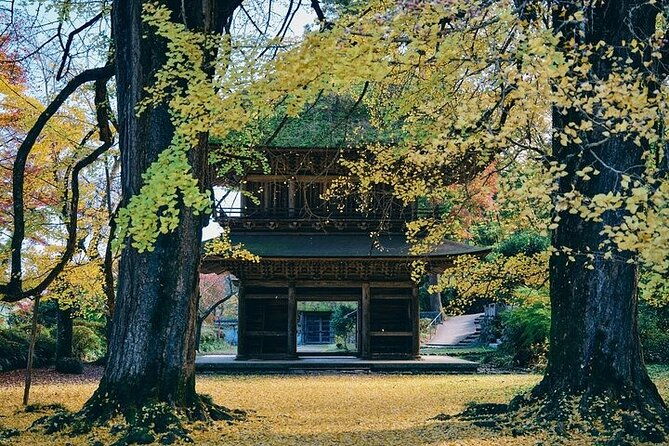 tokyo-mountain-history-and-culture-eco-tour