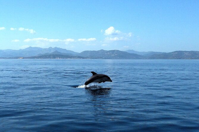 tour-in-rubber-dinghy-and-snorkeling-in-the-protected-marine-area-of-tavolara