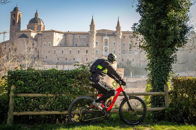 tour-in-the-marche-by-raffaello-sanzio-art-nature-food-and-wine
