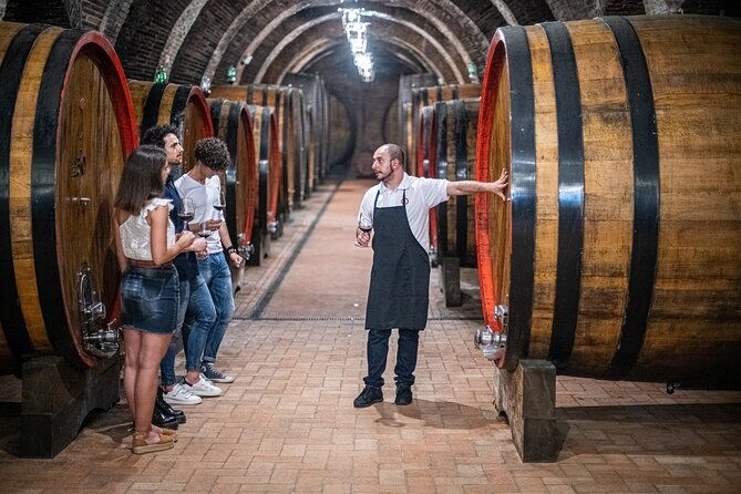 tour-of-the-historical-cellars-in-montepulciano