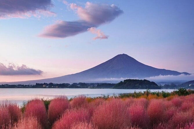 trip-to-mt-fuji-and-lake-kawaguchiko-with-english-speaking-driver