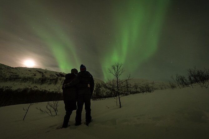 tromso-norway-private-northern-lights-tour-with-local-guide