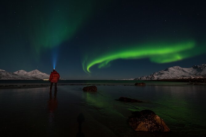 tromso-norway-small-group-aurora-hunt-tour-with-a-local-guide