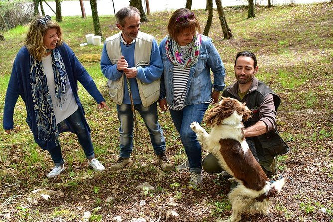 truffle-hunt-bio-lunch-in-assisi