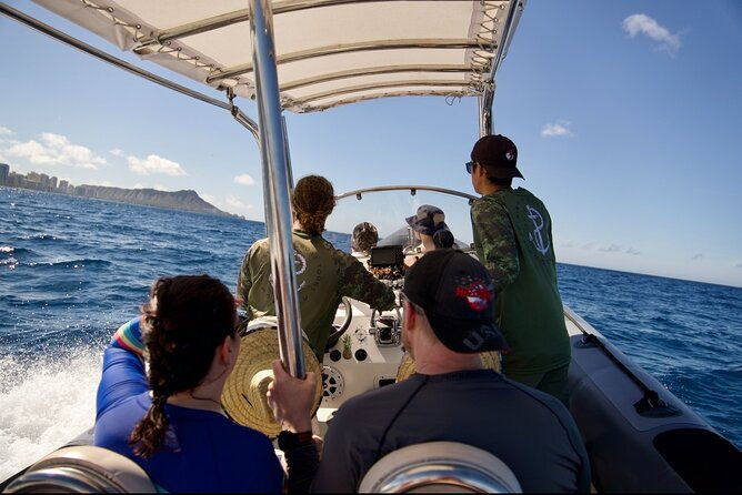 turtle-canyon-snorkel-semi-private-boat-tour