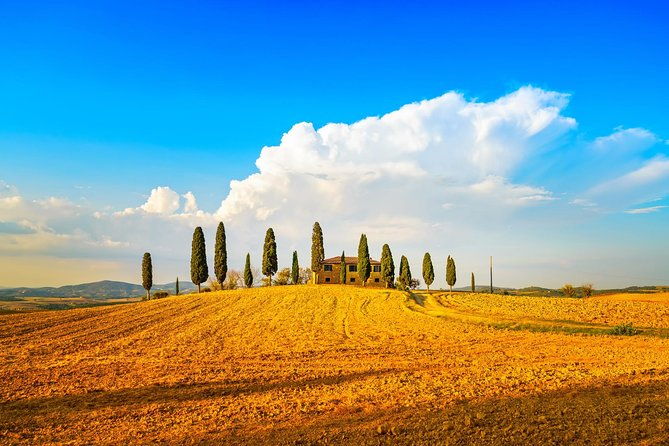tuscany-private-tour-with-wine-and-cheese-tasting-from-florence