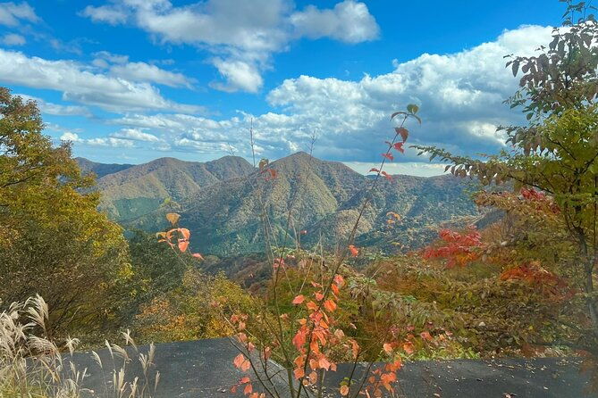two-days-nikko-cycling-tour-guided-by-a-local-monk