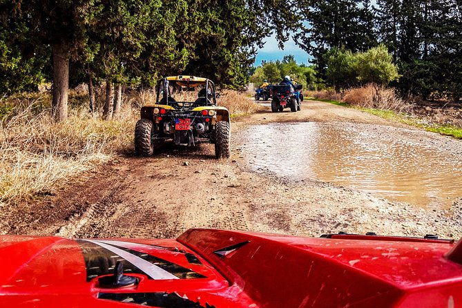 village-mountain-buggy-safari-in-paphos
