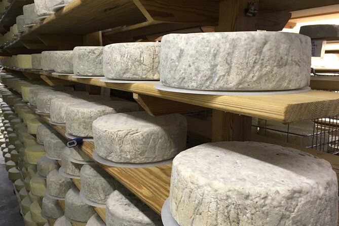 vineyard-cheesemaker-bus-tour-of-sussex
