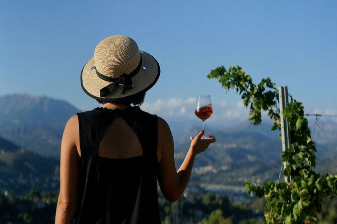 vineyard-tour-with-wine-tasting-within-nice-city-borders