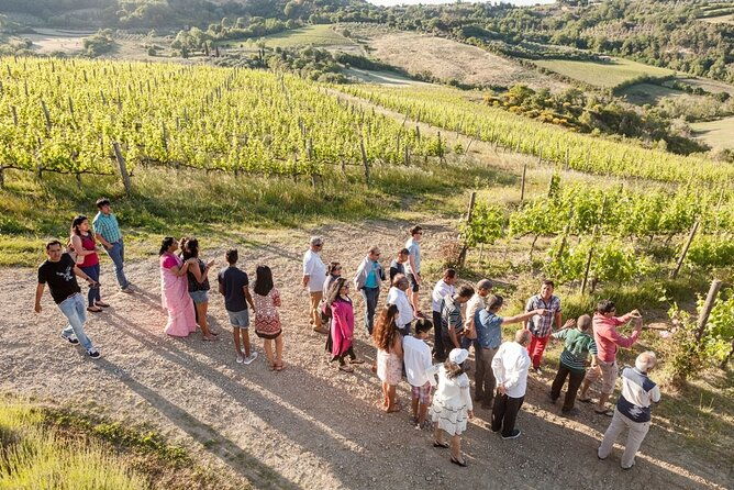 vino-nobile-di-montepulciano-wine-tour-meet-the-producers