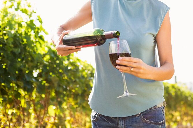vino-venture-explore-with-a-local-troodos-mountains-thru-wine-2