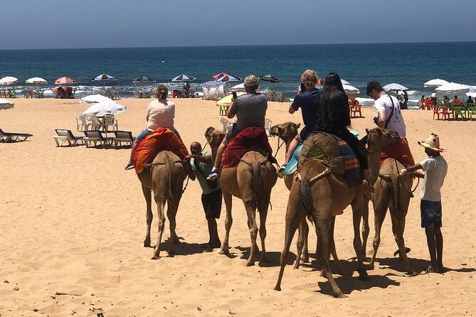 vip-full-day-private-tangier-tour-from-malaga-all-inclusive