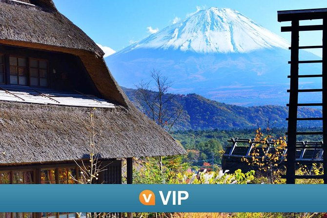 vip-mt-fuji-private-tour-with-sengen-shrine-visit-from-tokyo