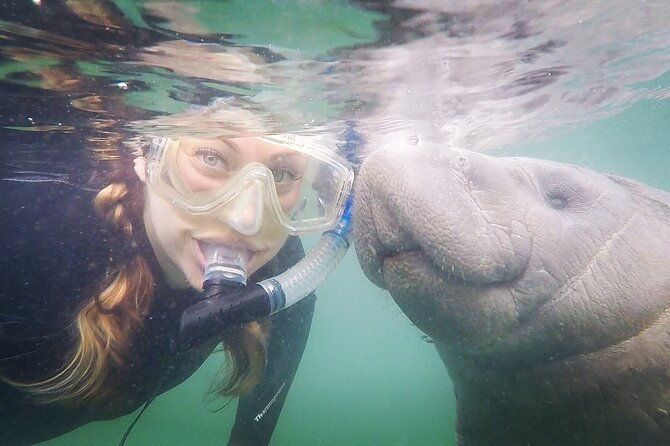vip-private-boat-manatee-snorkel-tour-with-in-water-guide-and-photograper