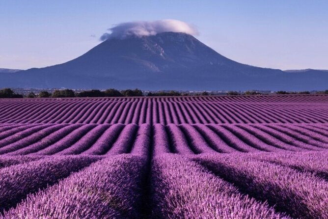 visit-the-lavender-fields-the-verdon-gorge-and-moustiers
