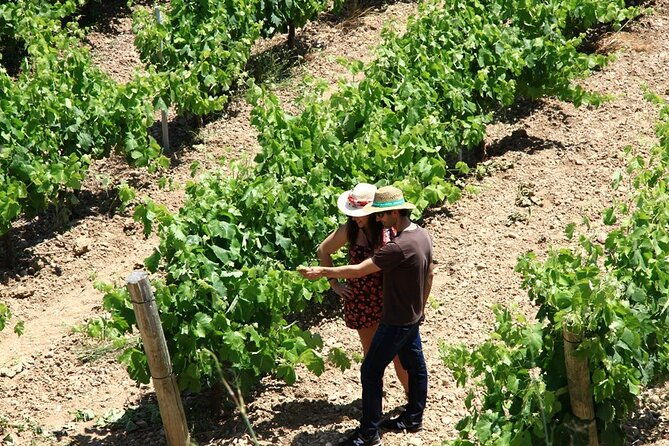 viticulture-and-wine-tasting-3-hour-trip-from-barcelona