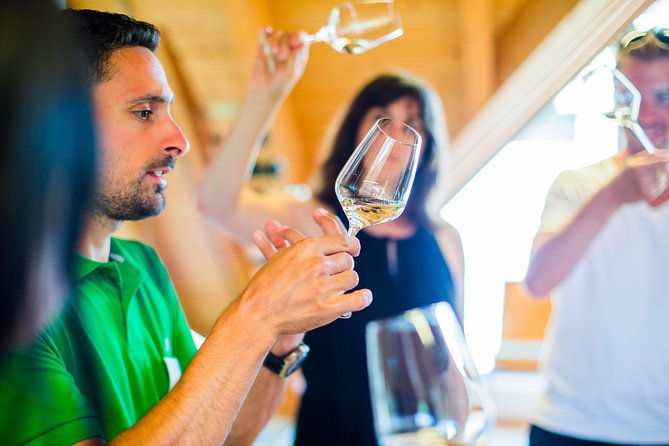 wachau-valley-small-group-tour-and-wine-tasting-from-vienna
