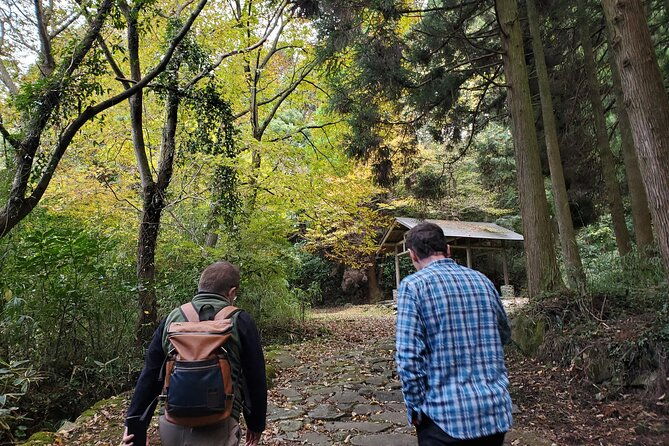 walking-through-the-aso-caldera-historical-walk-along-the-bungo-kaido