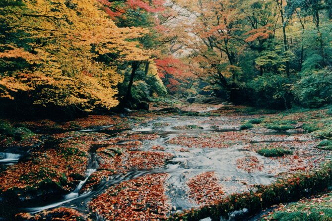 walking-with-a-guide-through-the-kikuchi-valley