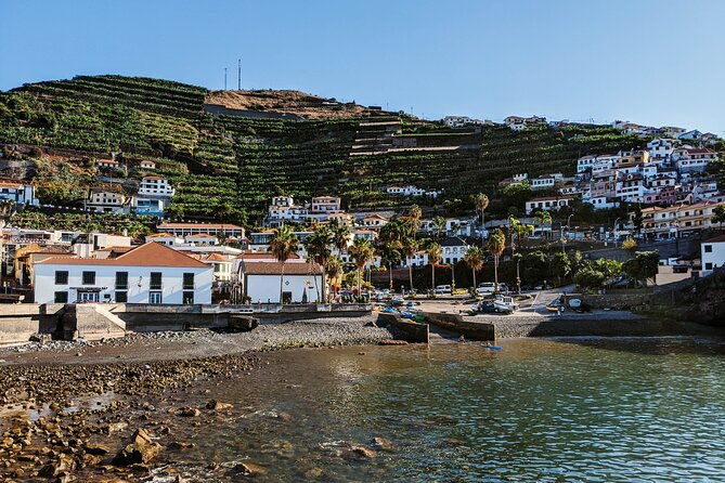 west-madeira-island-guided-tour-fanal-mystic-forest