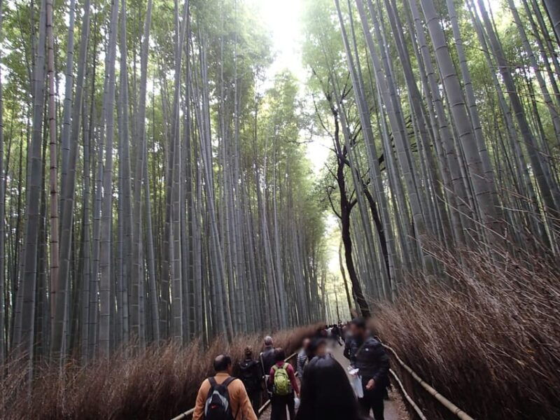 western-kyoto-walking-tour-with-local-guide