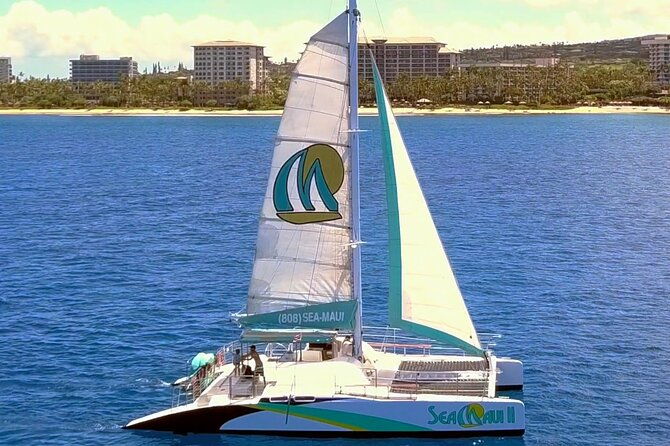 whale-watching-cruise-with-open-bar-from-kaanapali-beach