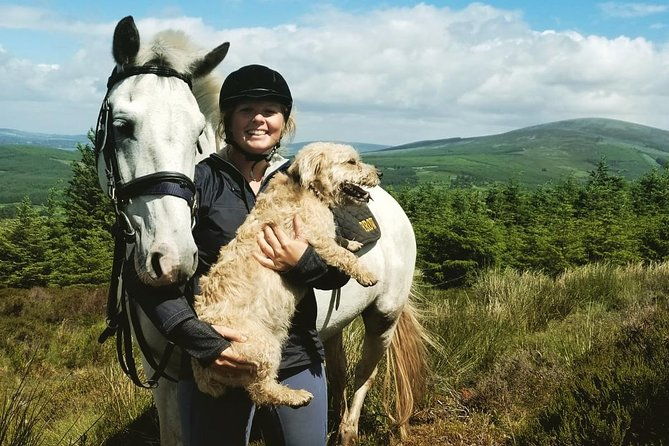wicklow-mountains-horse-trekking