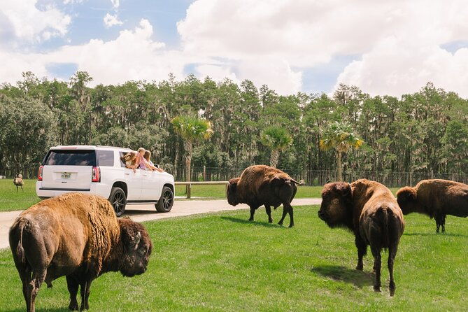 wild-florida-drive-thru-safari-and-gator-park-admission