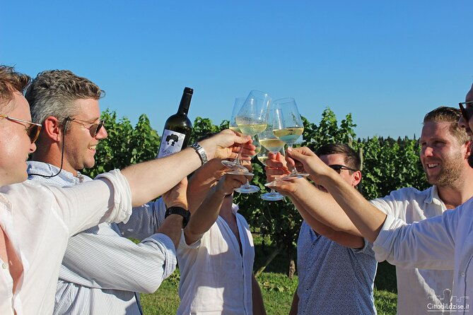 wine-and-food-tasting-in-the-vineyards-in-lazise