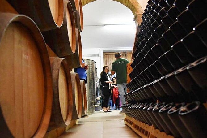 wine-tasting-and-guided-visit-to-the-vineyard-and-cellar-in-s-maria-imbaro