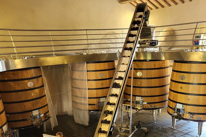 wine-tasting-tour-at-chateauneuf-du-pape