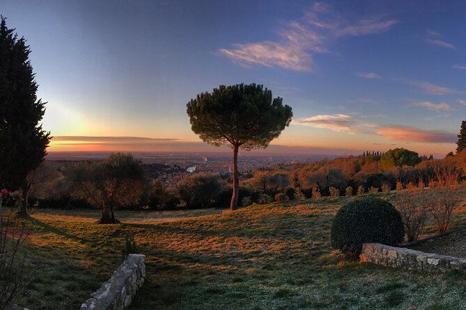 wine-tasting-with-panoramic-view-of-verona