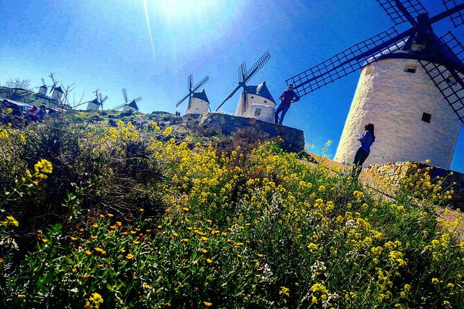 wine-tour-toledo-windmiils-lunch-winery-included